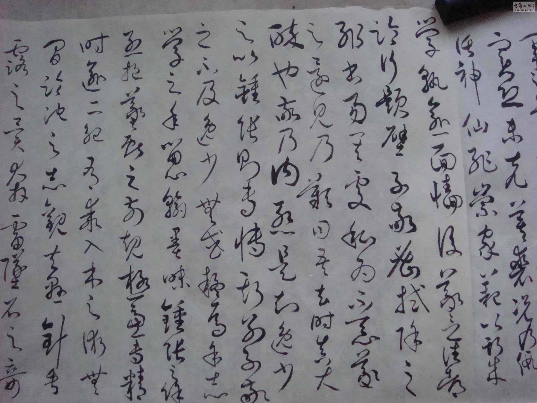 DSC03077С.jpg
