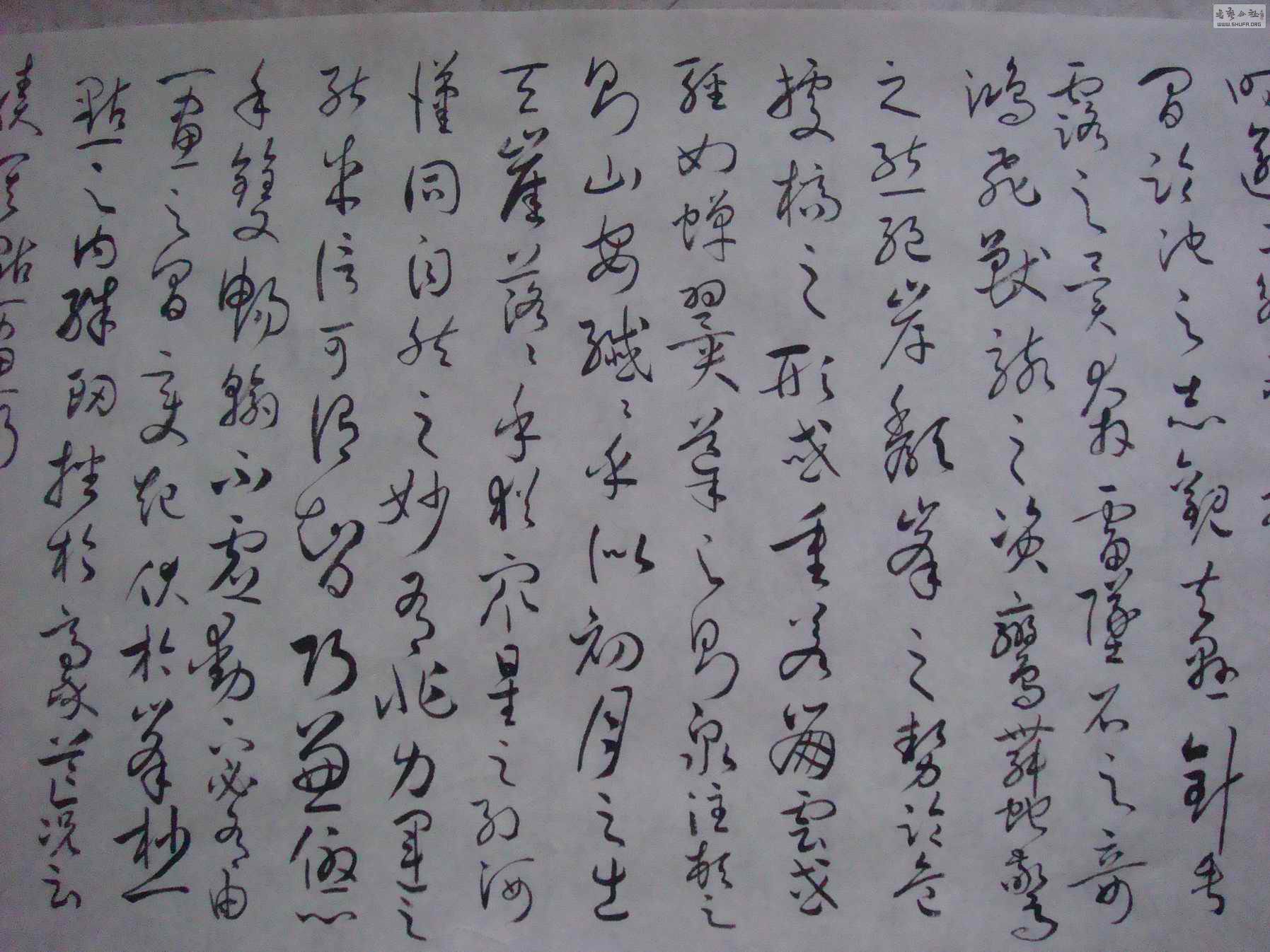 DSC03078С.jpg