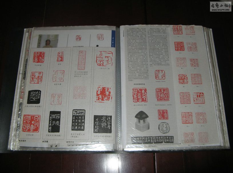 Ƭ 8564.jpg