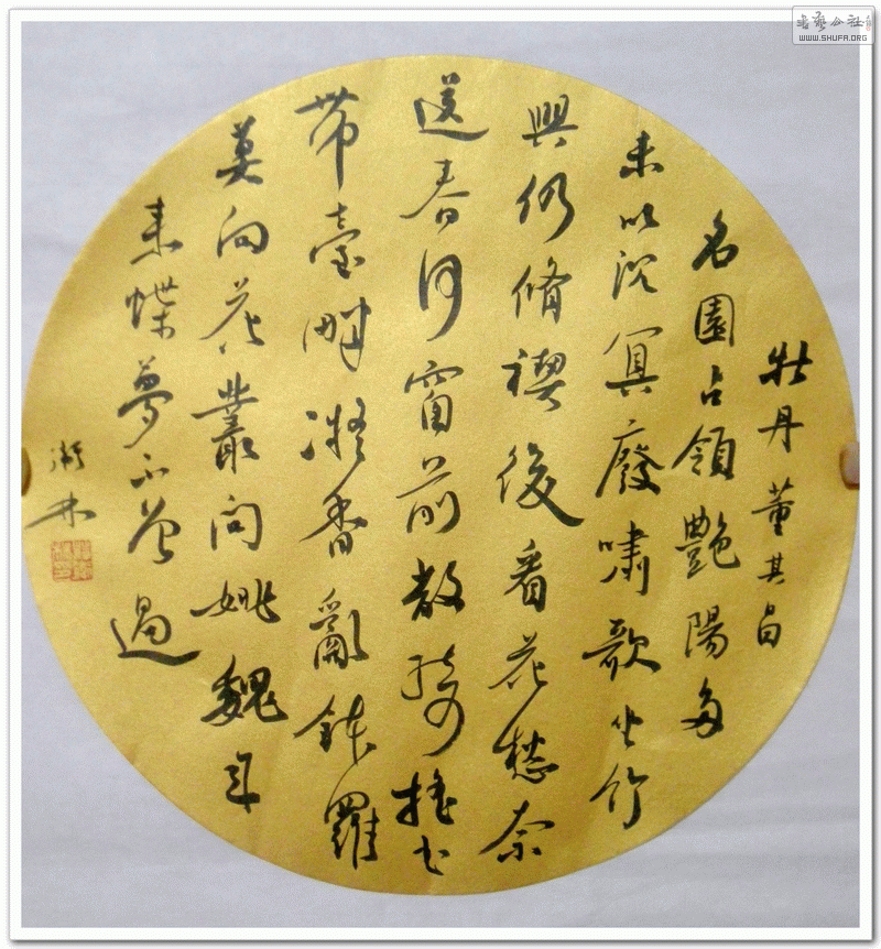 DSCN1494.gif