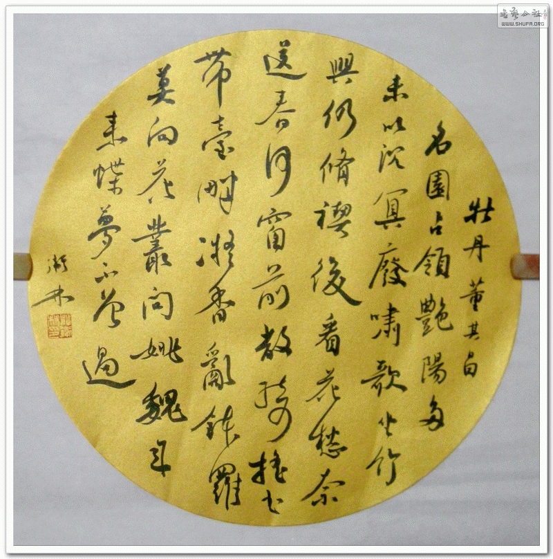 DSCN1495.gif
