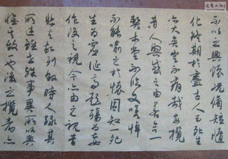 STP610224.jpg