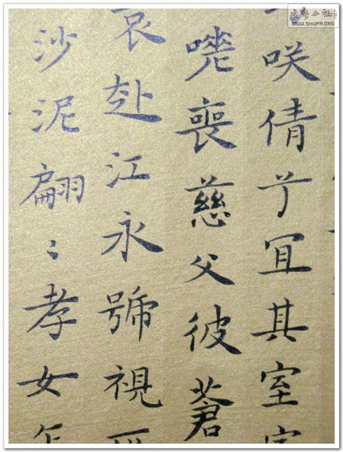 DSCN1526.JPG