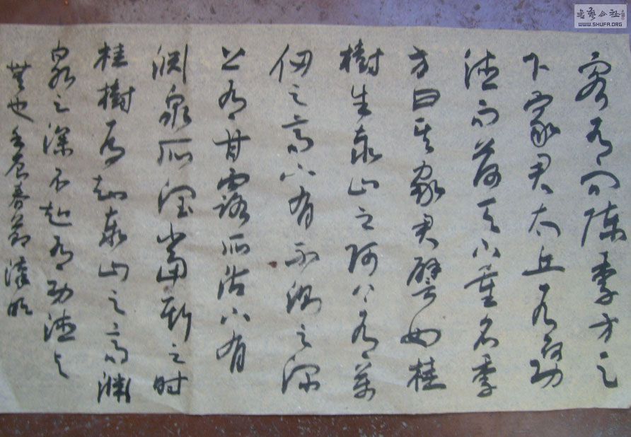 STP610227.jpg