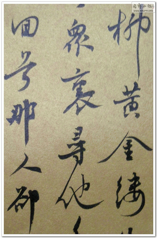 DSCN1538.gif