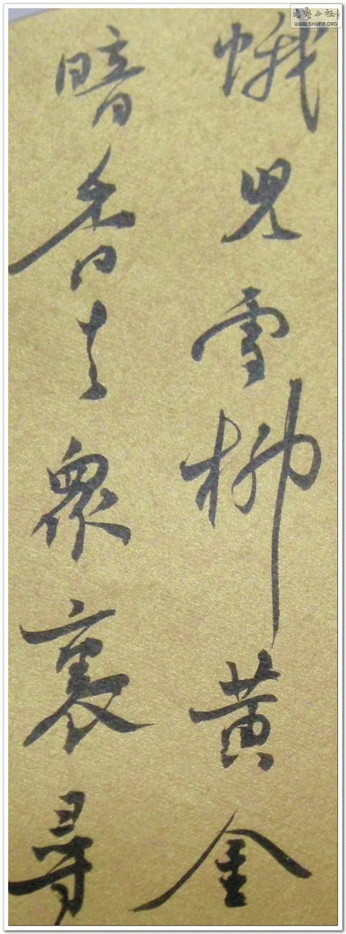 DSCN1537.gif