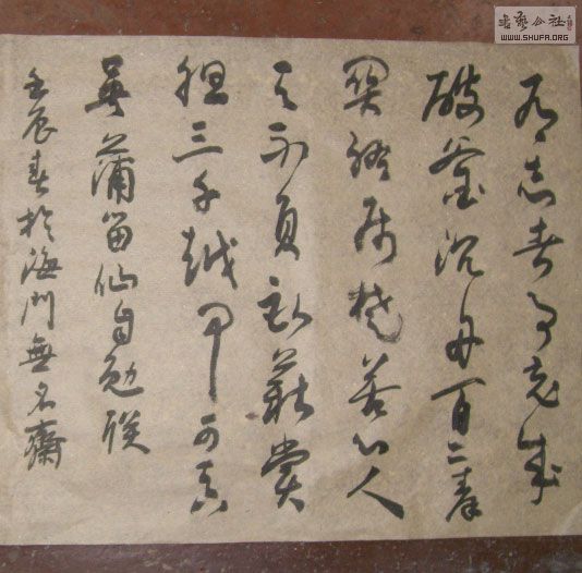 STP610238.jpg