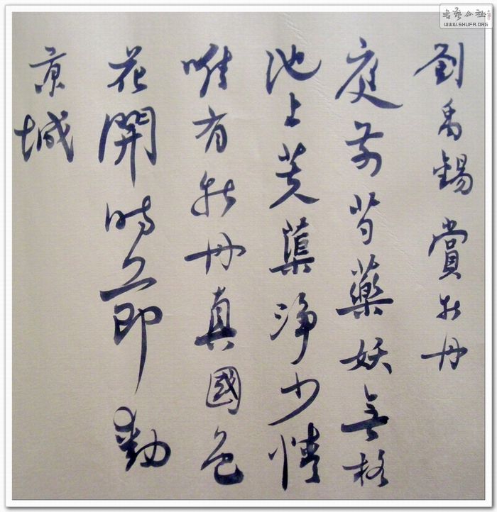 DSCN1680.JPG