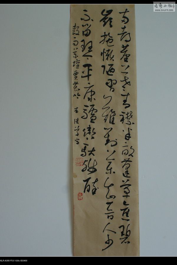 DSC00194.jpg