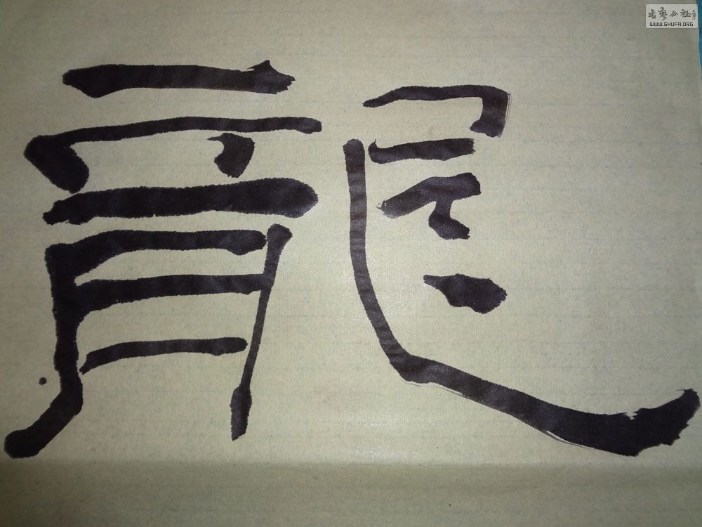 DSC00119119.jpg