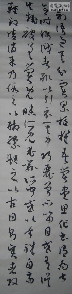 jpg_7231 (13).JPG