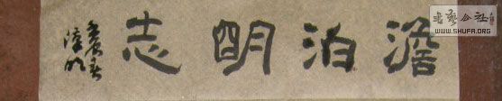 STP610251.jpg