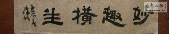 STP610255.jpg