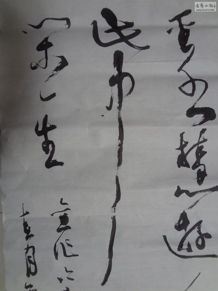 DSC00114114.jpg
