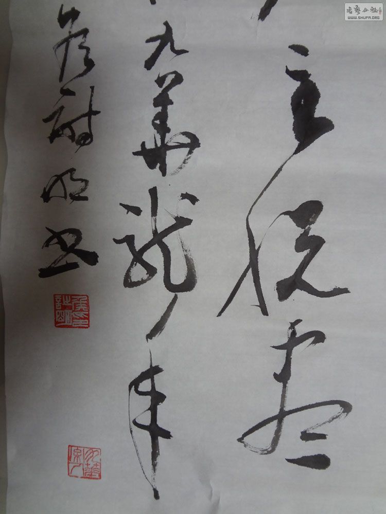 DSC00115115.jpg