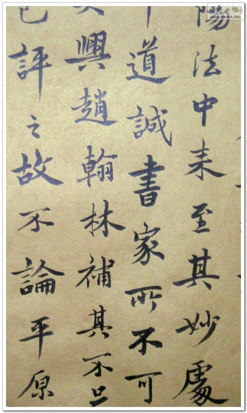 DSCN1563.JPG