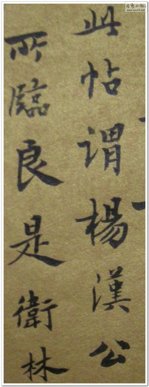 DSCN1565.JPG