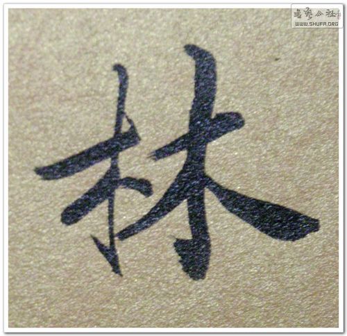 DSCN1578.JPG