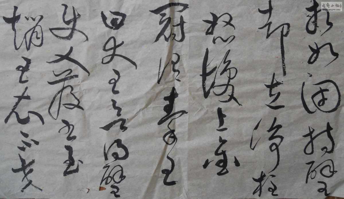 DSCN0037.jpg