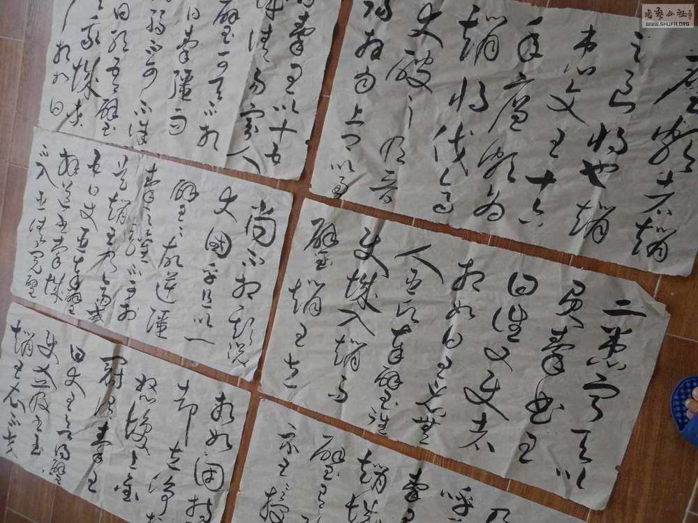 DSCN0040.jpg