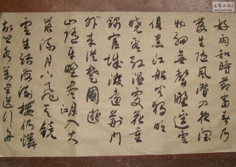 STP610261.jpg