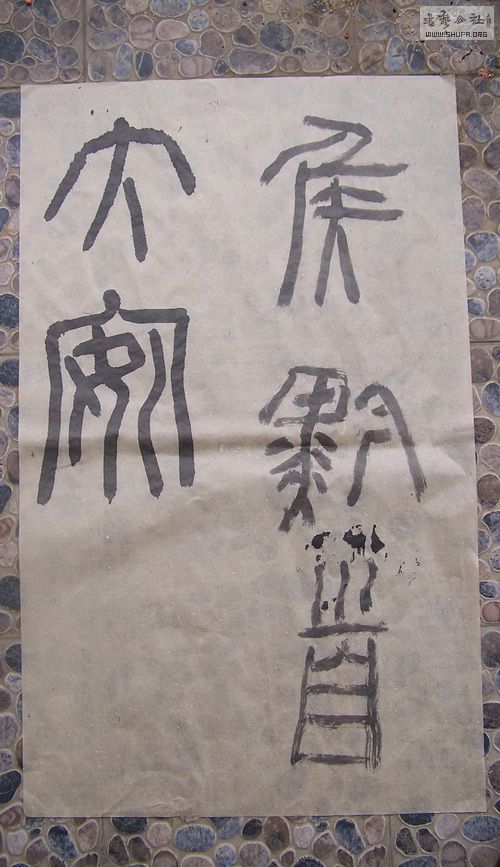 100_9926.jpg