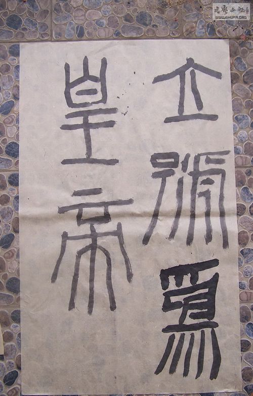 100_9927.jpg