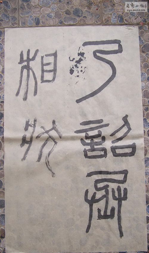 100_9928.jpg