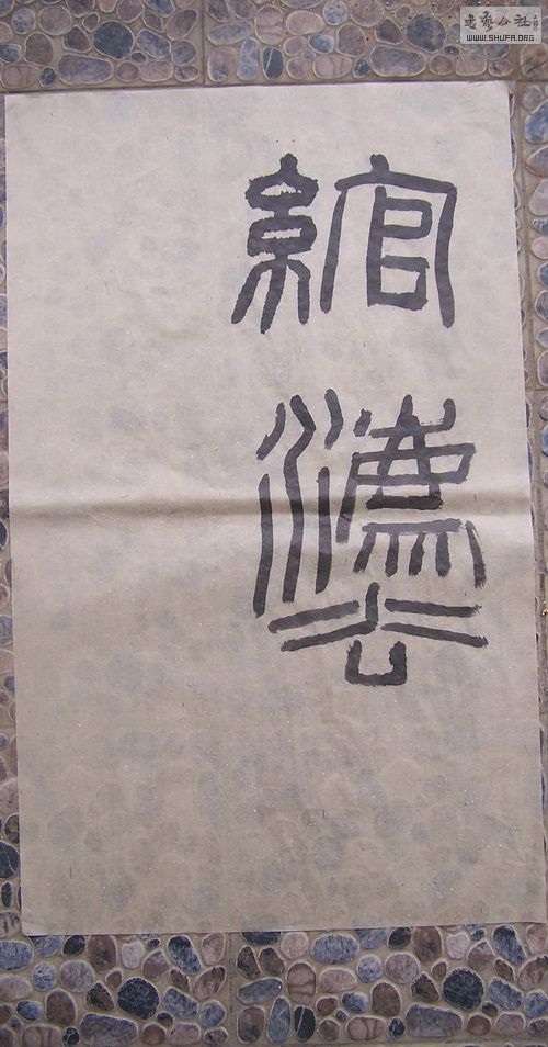 100_9929.jpg