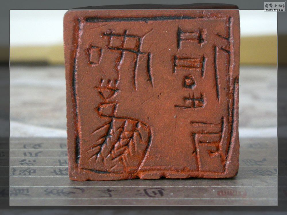 DSCN2233.JPG