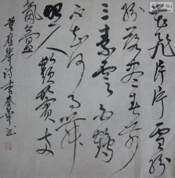119 001_1_conew1.jpg