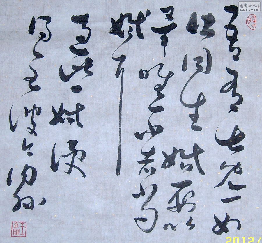 SUC53225.JPG