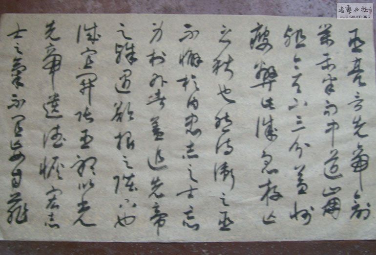 STP610276.jpg