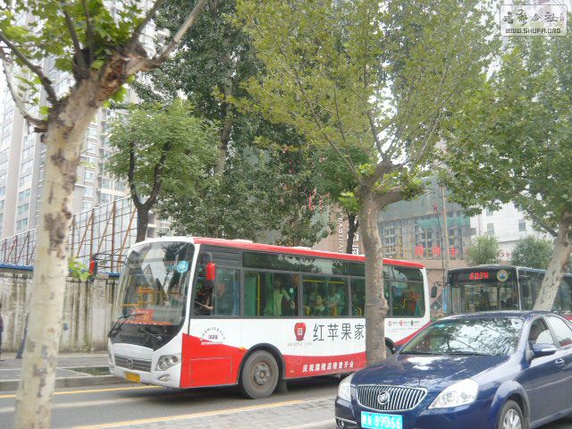 P1220289.JPG