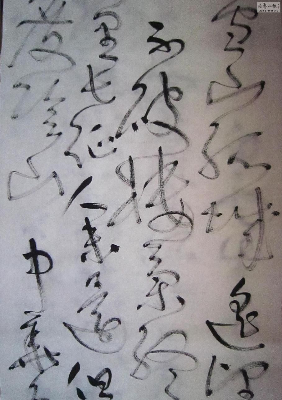 173.JPG