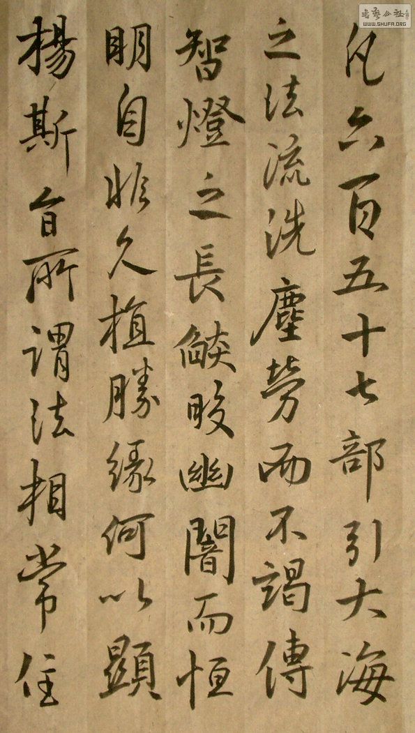 IMGP4066.jpg