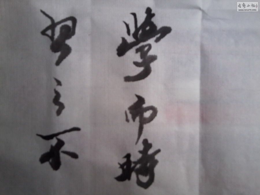 Ƭ0006.jpg