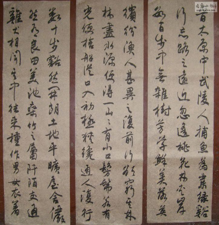 STP610297.jpg
