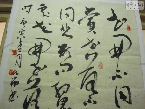 DSC03520.JPG