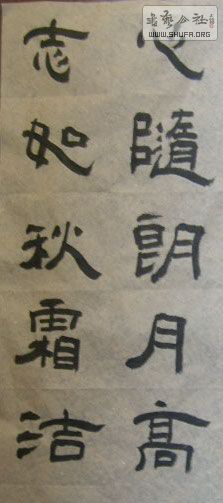 STP610309.jpg