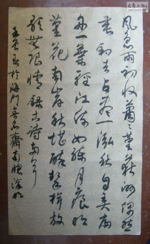 STP610311.jpg