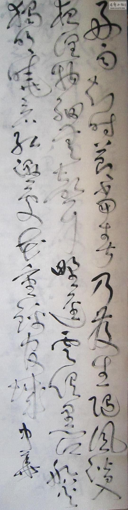 181.JPG