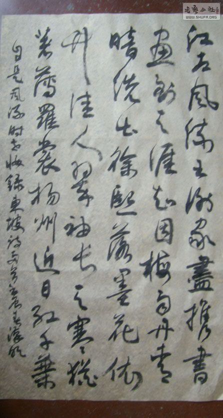STP610316.jpg