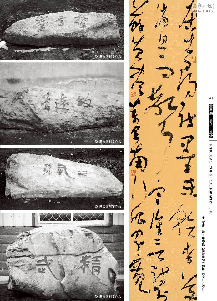 鷨41.jpg
