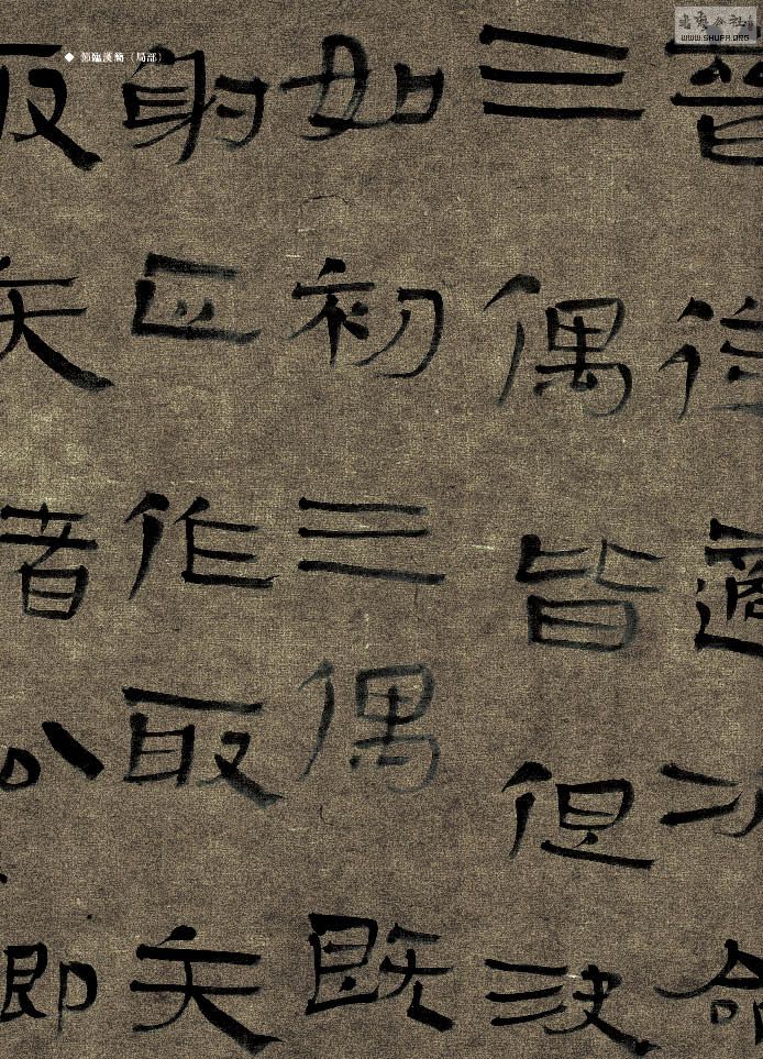 鷨54.jpg