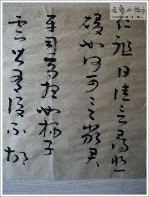 SSC_5326.JPG