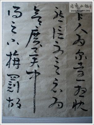 SSC_5328.JPG