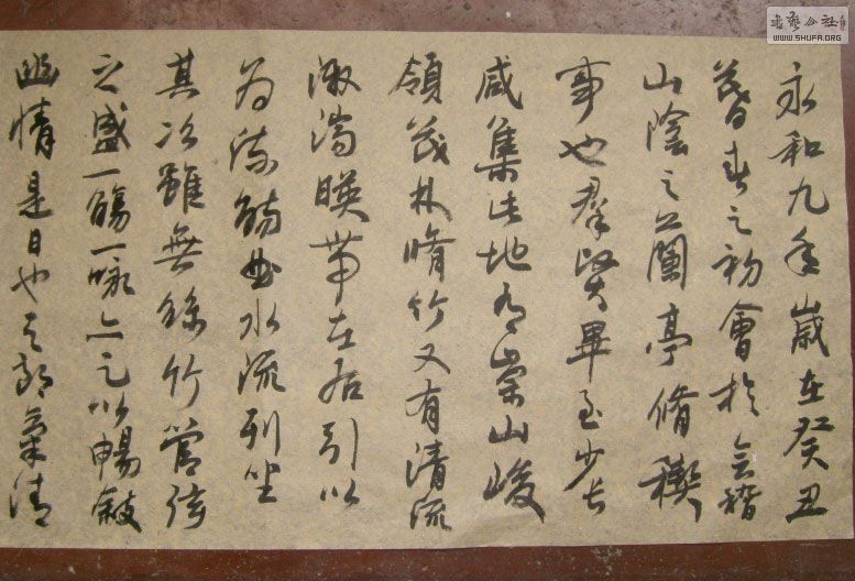 STP610332.jpg