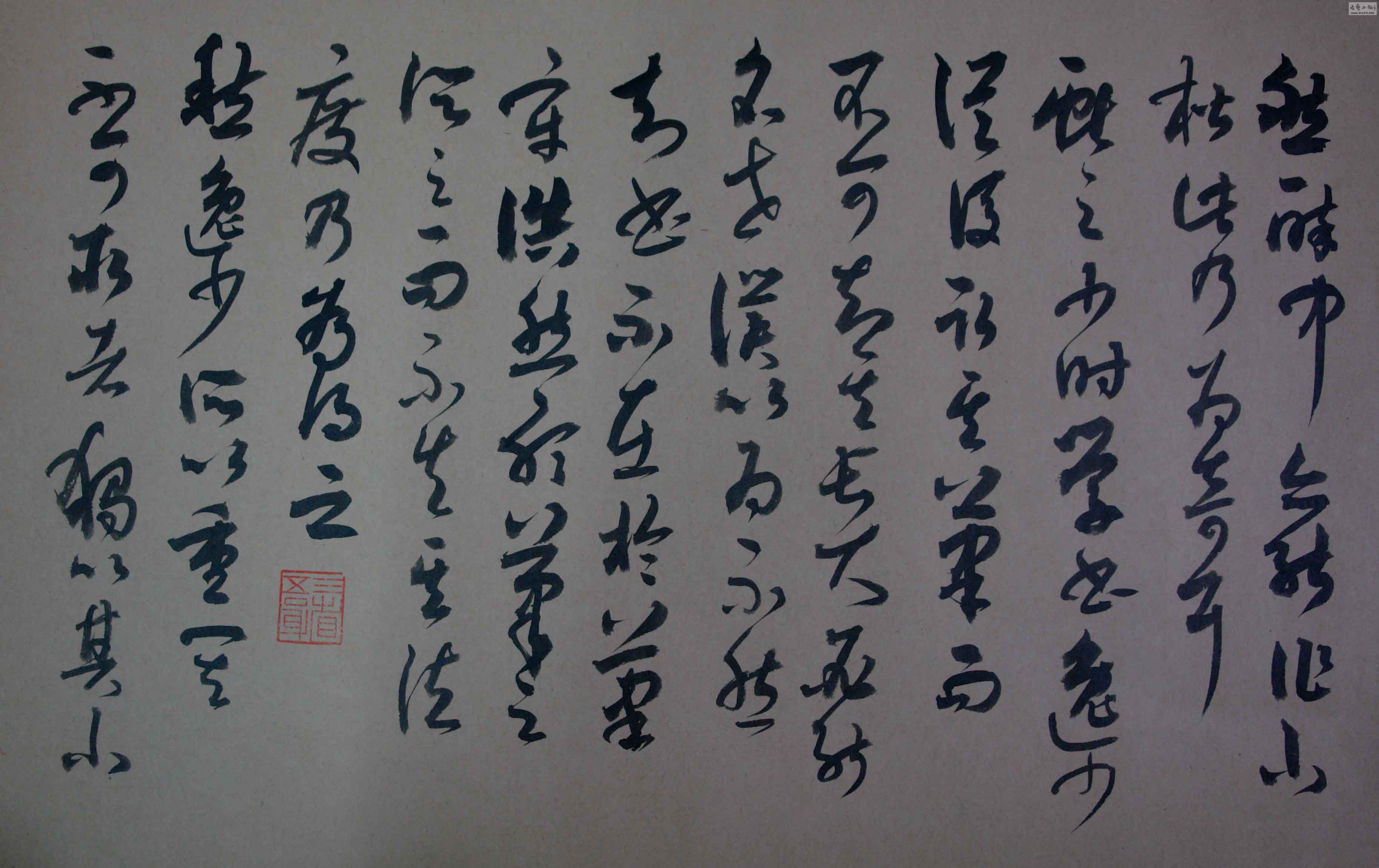 DSC02113.JPG