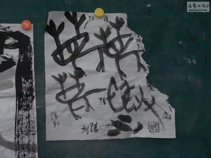 DSC07030.jpg